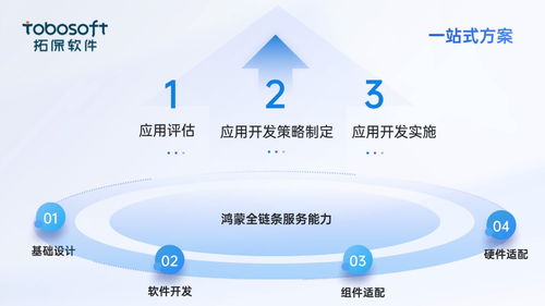 衡水新闻网软件开发策略与实践
